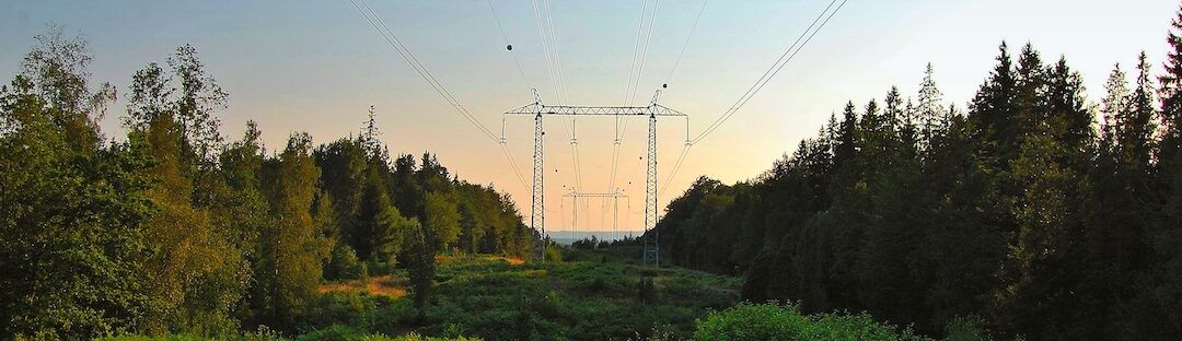 Using machine learning to improve vegetation management in power line corridors