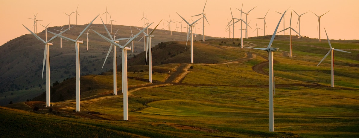 field of wind turbines on a hill against a clear sky