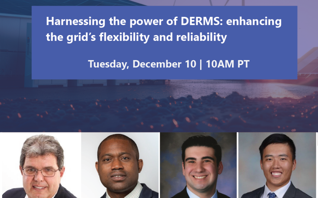 Webinar: Harnessing the power of DERMS: enhancing the grid’s flexibility and reliability