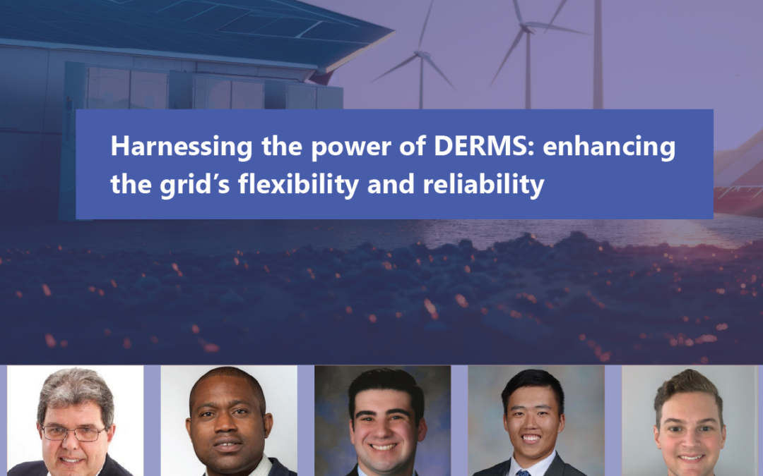 Webinar: Harnessing the power of DERMS: enhancing the grid’s flexibility and reliability