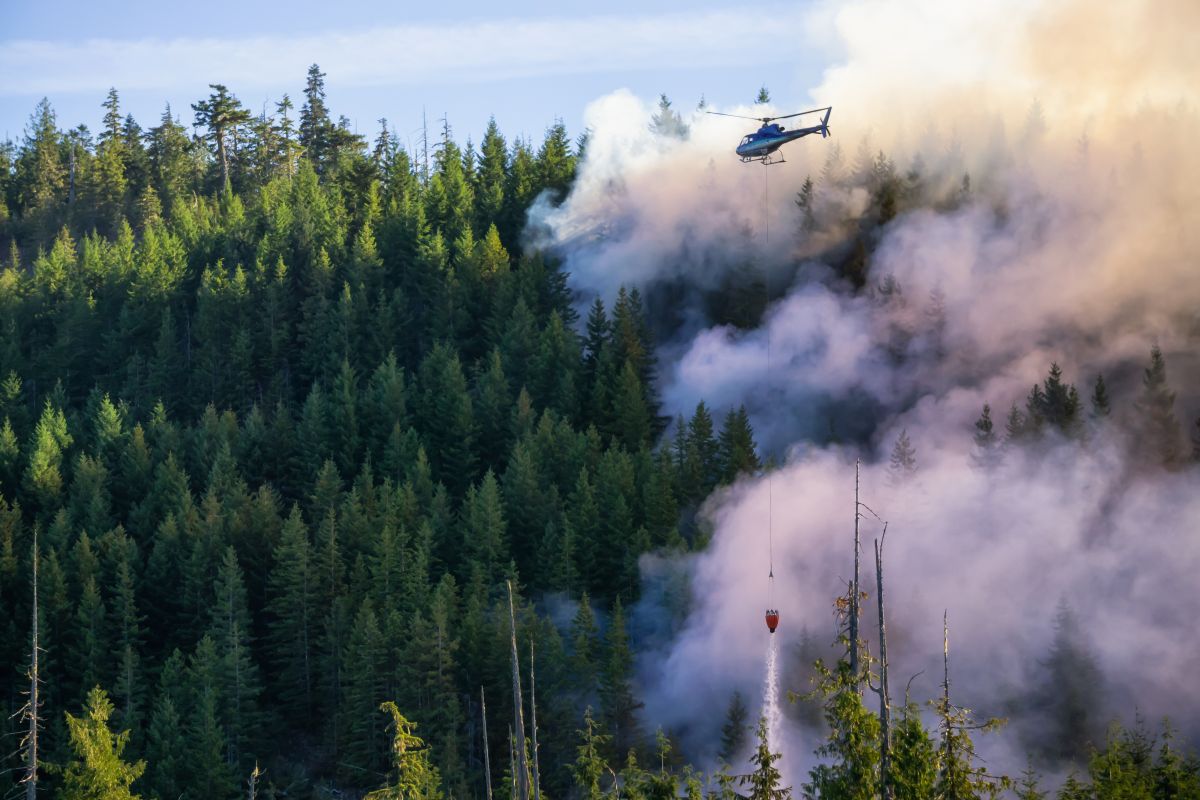 helicopter flying over a forest fire