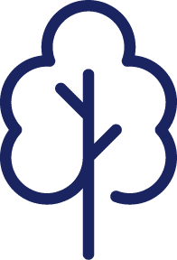 Enhanced Asset & Vegetation Analytics