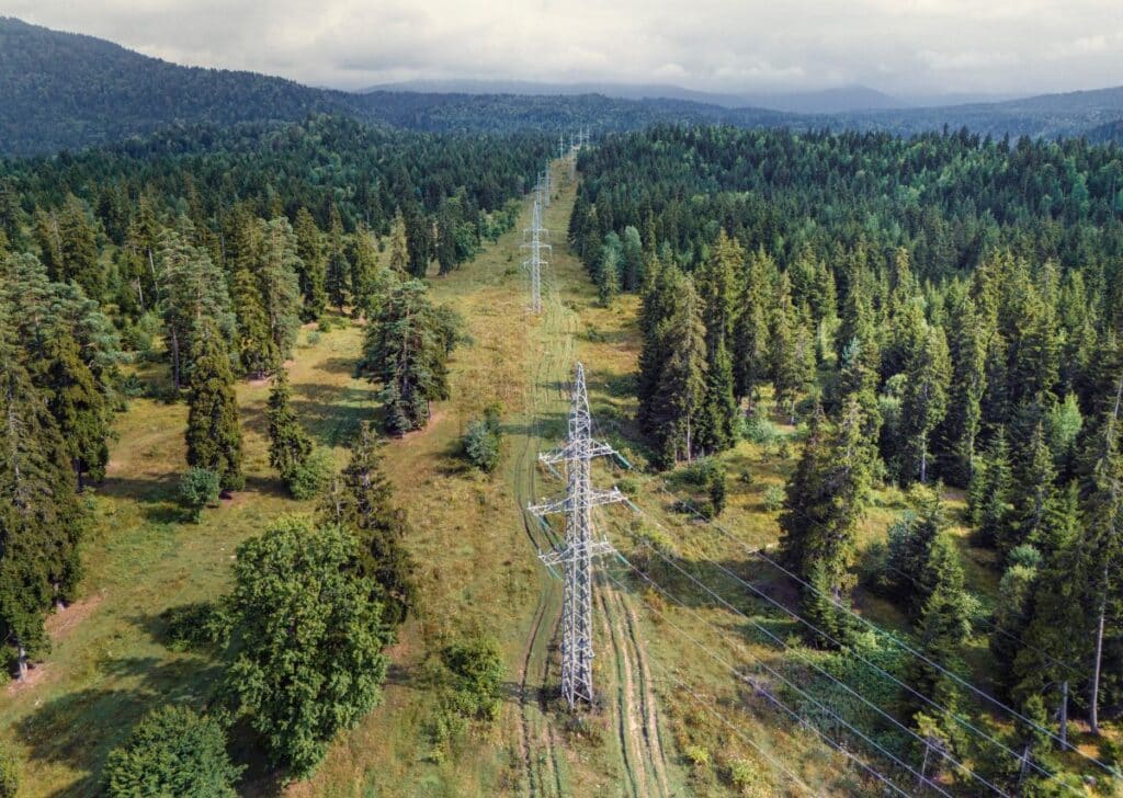 Power lines stretch across a green forest in a mountainous region