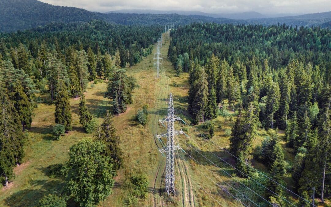 Power lines stretch across a green forest in a mountainous region