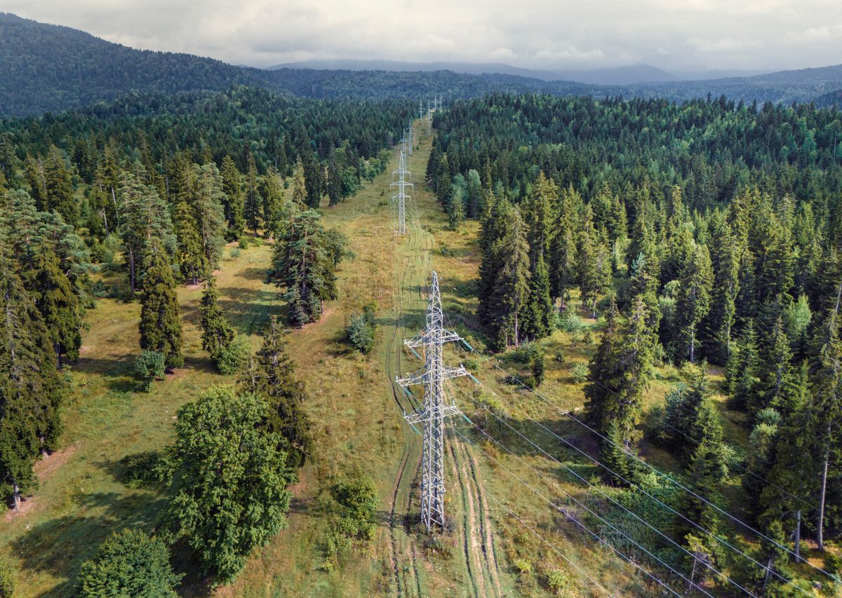 Power lines stretch across a green forest in a mountainous region