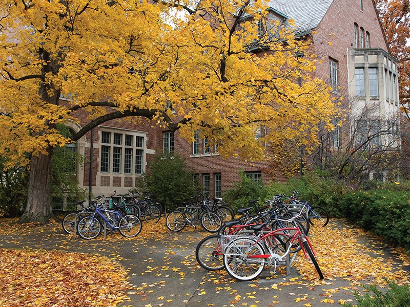 exterior of school buildings on an autumn afternoon