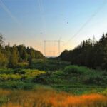machine-learning-vegetation-management-sm power lines in a wooded area